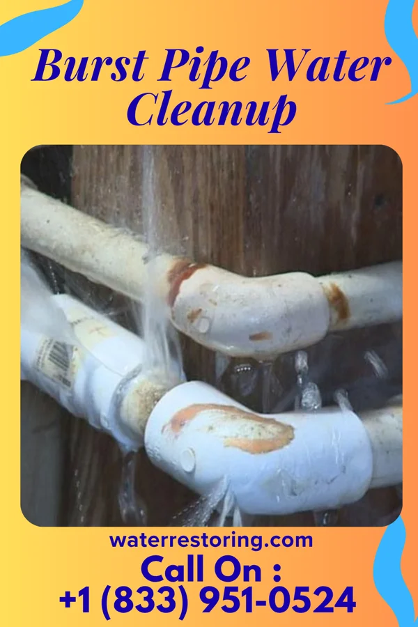 Burst Pipe Water Cleanup in Smithers, WV