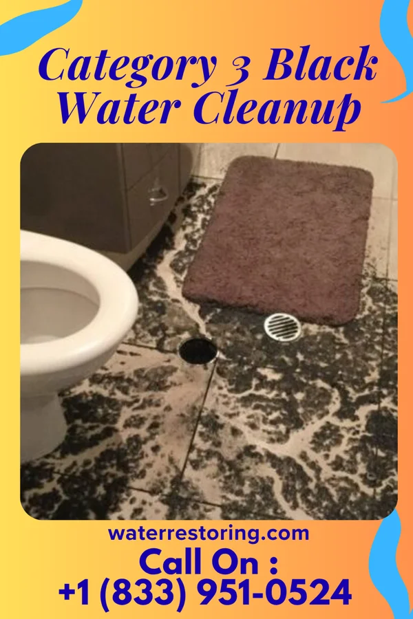 Category 3 Black Water Cleanup in Smithers, WV