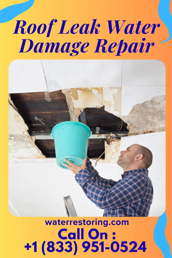 Roof Leak Water Damage Repair in Smithers, WV