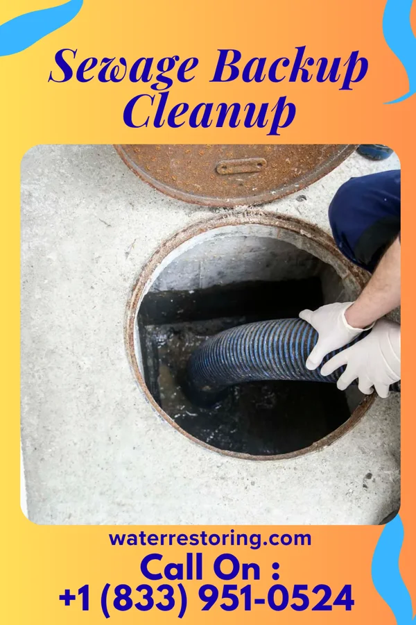 Sewage Backup Cleanup in Smithers, WV